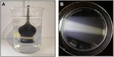 Continuous Inking Affects the Biological and Biochemical Responses of Cuttlefish Sepia pharaonis
